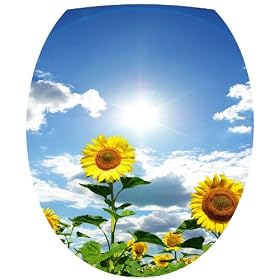 Sticker Autocollant Abattant WC Fleur Ciel 35x42cm r�f 0121