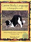 Canine Body Language