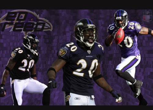Ed Reed HD 11x17 Baltimore Ravens #01 HDQ