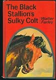 Black Stallion's Sulky Colt