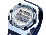 CASIO Baby-G �J�V�I �r���v REEF BG3003V-2B