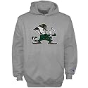 Champion Notre Dame Fighting Irish Youth Ash Powerblend Hoody Sweatshirt