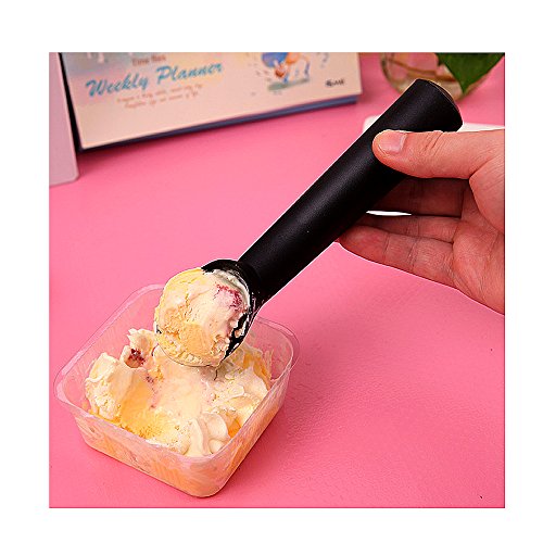 international Ice Cream Scoop DefenderX Commercial Grade Cast