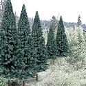 Ready Made Trees Value Pack, Blue Spruce 2-4" (18)
