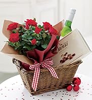Christmas Rose & White Wine Hamper