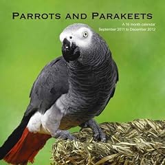 Papageien und Sittiche - Parrots and Parakeets 2012 Kalender