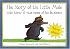 The Story of the Little Mole Who Knew It Was None of His Business: Plop-up Edition!