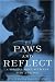 Paws and Reflect: A Special Bond Between Man and Dog