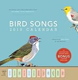 Bird Songs with Sound 2010 Wall Calendar