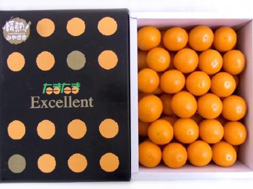 【予約】宮崎県 ”完熟きんかん たまたまエクセレント EX” 2Lサイズ 約1kg（2月以降の発送）