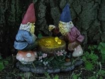 Solar Gnome Checkers