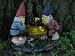 Solar Gnome Checkers