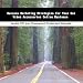 Book Success Marketing Strategies For Your Car Video Accessories Online Business
