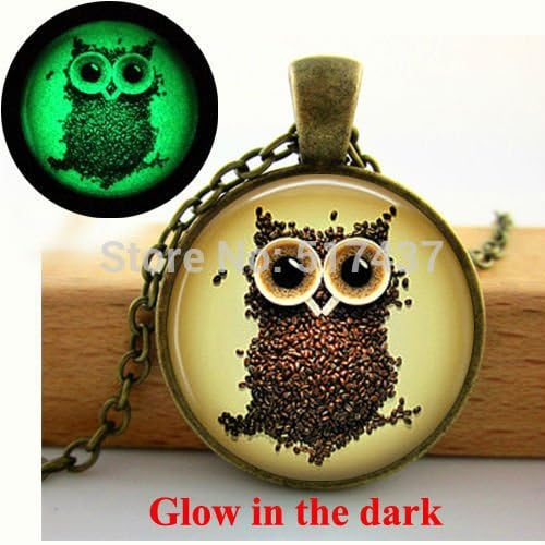 Pretty Lee 2015 New Items Glow In The Dark Coffee Beans Owl Necklace Owl Pendant Necklace - Art Photo Glass Dome Glowing Jewelry