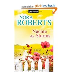 N�chte des Sturms: Roman