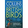 Collins Complete Guide to British Birds: A Photographic Guide to Every Common Species