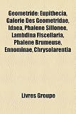 Geometride: Eupithecia, Galerie Des Geometridae, Idaea, Phalene Sillonee, Lambdina Fiscellaria, Phalene Brumeuse, Ennominae, Chrys