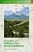 Glacial and Periglacial Environments (Access To Geography)