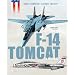 The Grumman F-14 Tomcat in Combat (Great American Combat Aircraft)
