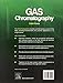 Gas Chromatography (Handbooks in Separation Science)