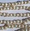 Darice 7 Inch Medium Fresh Water Pearl Strand, White