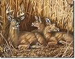 DUCKS UNLIMITED - HIDEAWAY Metal Tin Sign 16"W x 12.5"H