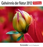 Geheimnis der Natur 2012: 53 Postkarten - 