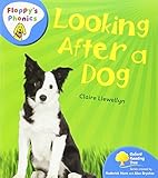 Looking after a dog