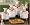 Chef 4 Piece Canister Set