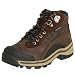 Timberland Little Kid Patuckaway Hiking Boot