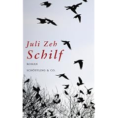 Schilf