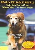 Really Reliable Recall - Train Your Dog to Come When Called... No Matter What!