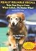 Really Reliable Recall - Train Your Dog to Come When Called... No Matter What!