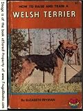  : How to raise and train a Welsh terrier