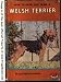 Used : How to raise and train a Welsh terrier