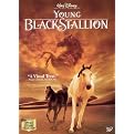 Young Black Stallion (Disney's Literary Collection) (Widescreen, Fullscreen) (Special edition, Dual-layered DVD)