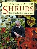 Shrubs through the seasons