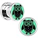 Body Candy Stainless Steel Glow in the Dark Wise Owl Screw Fit Double Flare Plug Pair 0 Gauge