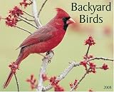 Backyard Birds 2008 Calendar; ISBN: 1595434607; by: <b>Willow Creek Press</b>