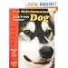 The Well-Connected Dog: A Guide to Canine Acupressure