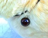 GARNET CAT / DOG / PET COLLAR CHARM