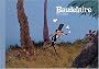 Baudelaire Nouvelle Edition