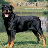 Rottweilers 2009 Wall Calendar