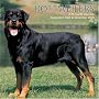 Rottweilers 2009 Wall Calendar