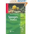 Sponges (Porifera) (Progress in Molecular and Subcellular Biology Marine Molecular Biotechnology) by Werner E. G. M�ller