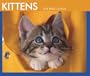 Kittens 2008 Boxed Calendar