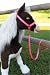 Butterscotch S'mores Furreal Horse Halter & lead - Hot Pink