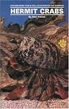 Hermit Crabs