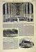 1858 Navev Westminster Abbey Building Waterspout Church