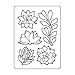 Darice Embossing Folders: Assorted Succulents